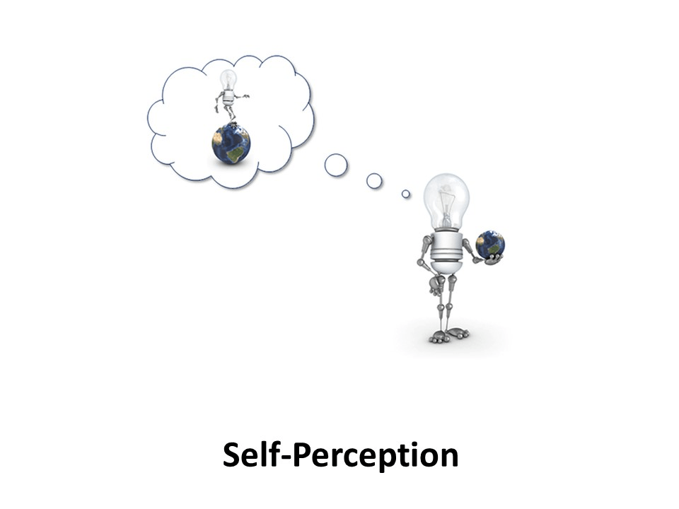 Online Leadership Training, Self-Perception