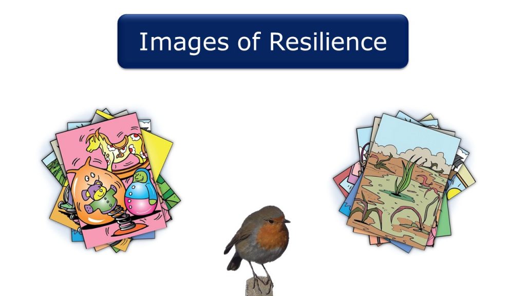 Images of Resilience