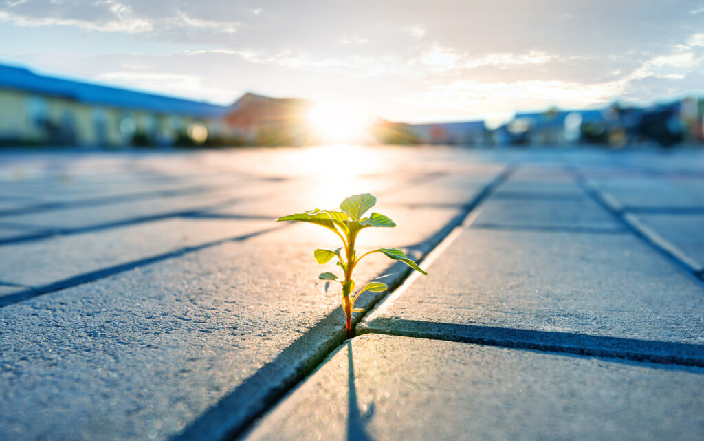 Building-Resilience-Through-Emotional-Agility-ei-matters